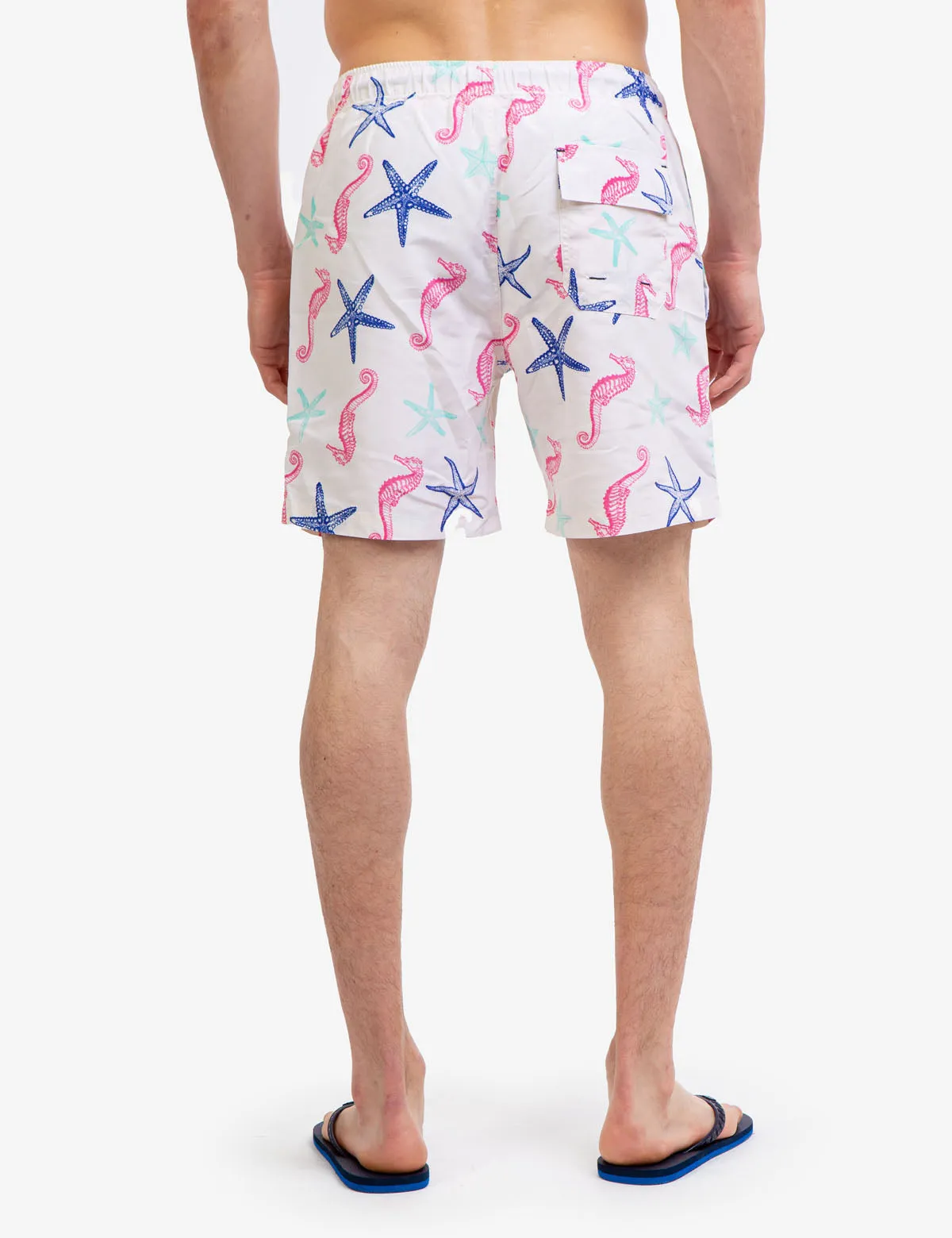 7" SEAHORSE AND STARFISH PRINT SWIM TRUNKS