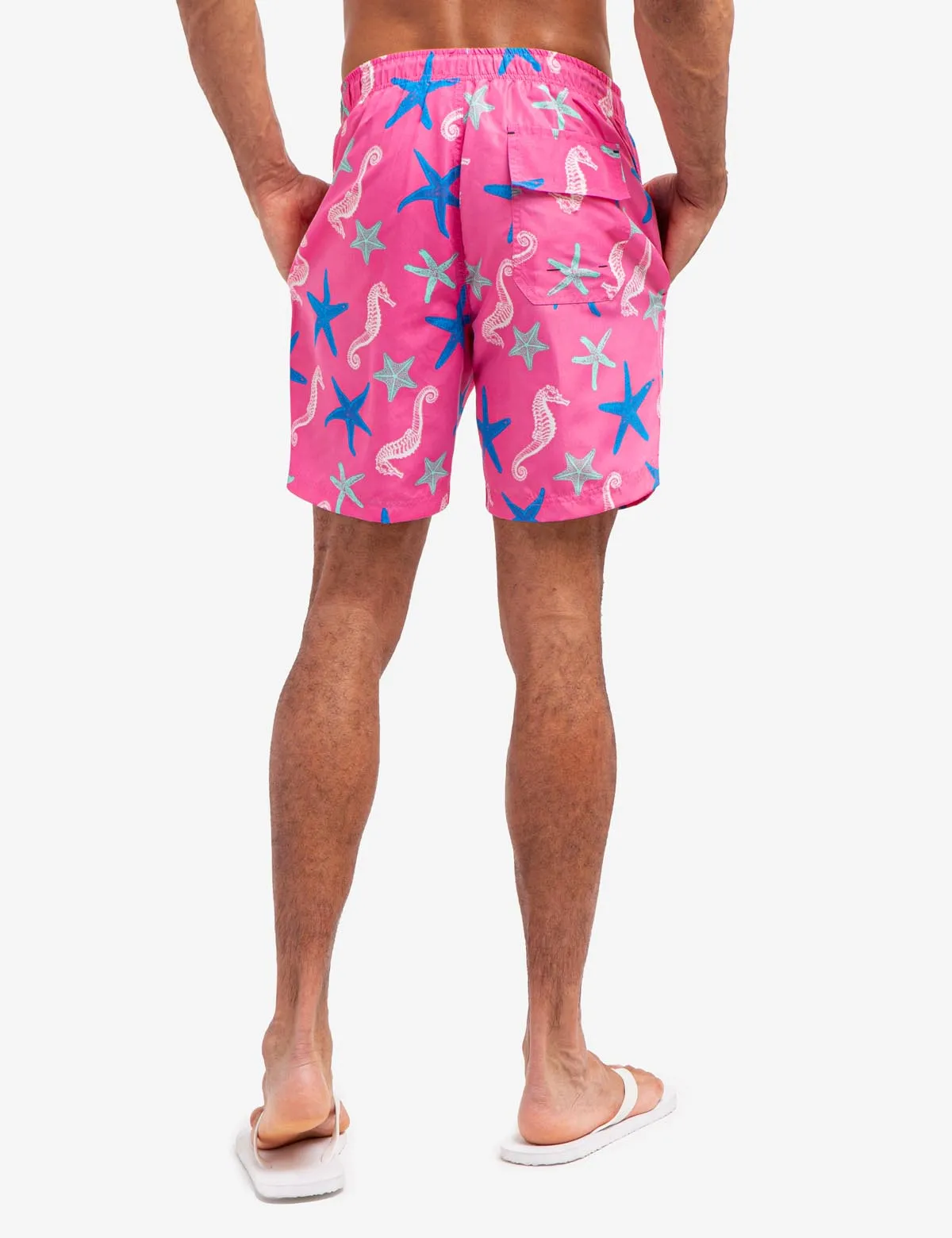 7" SEAHORSE AND STARFISH PRINT SWIM TRUNKS