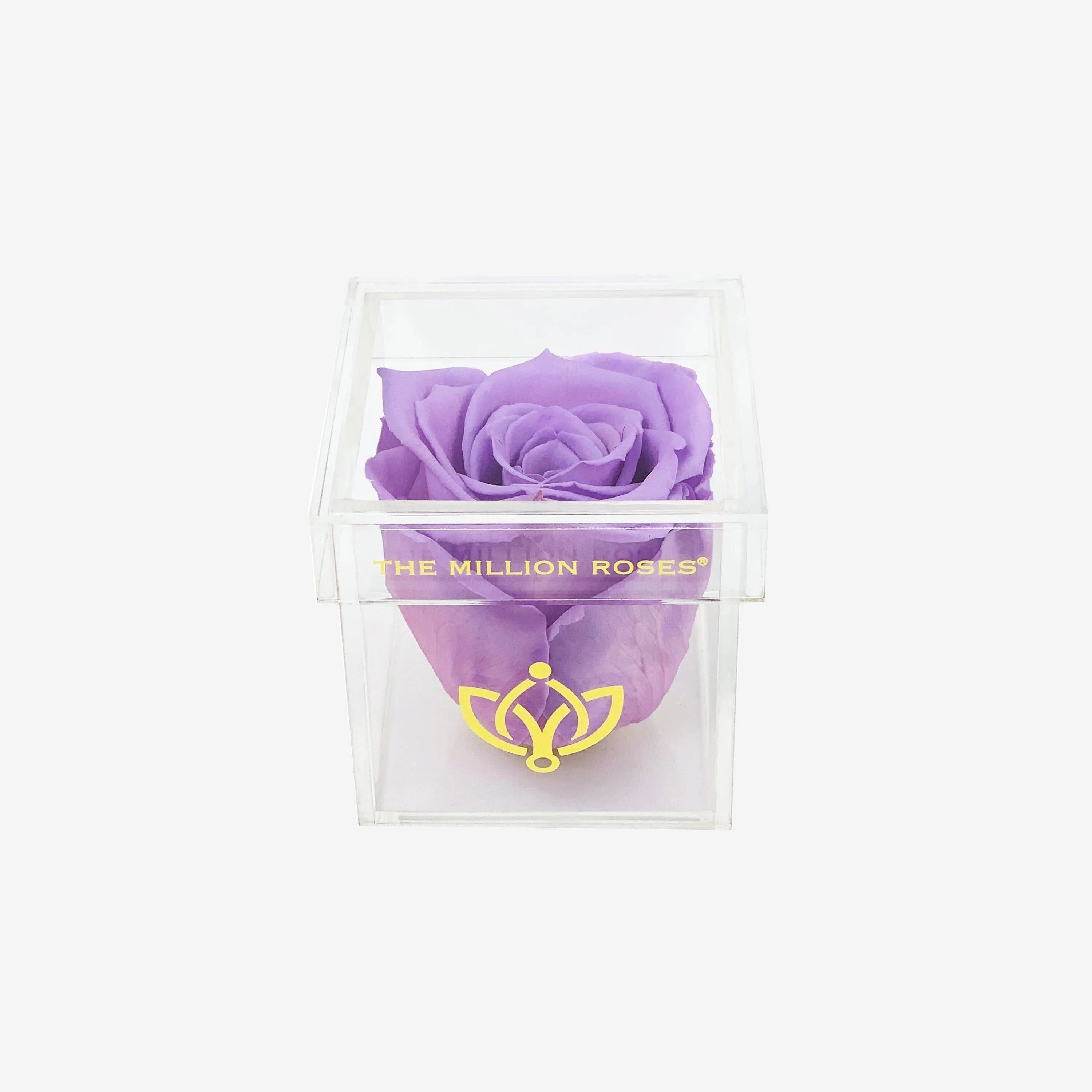 Acrylic Single Box | Lavender Rose