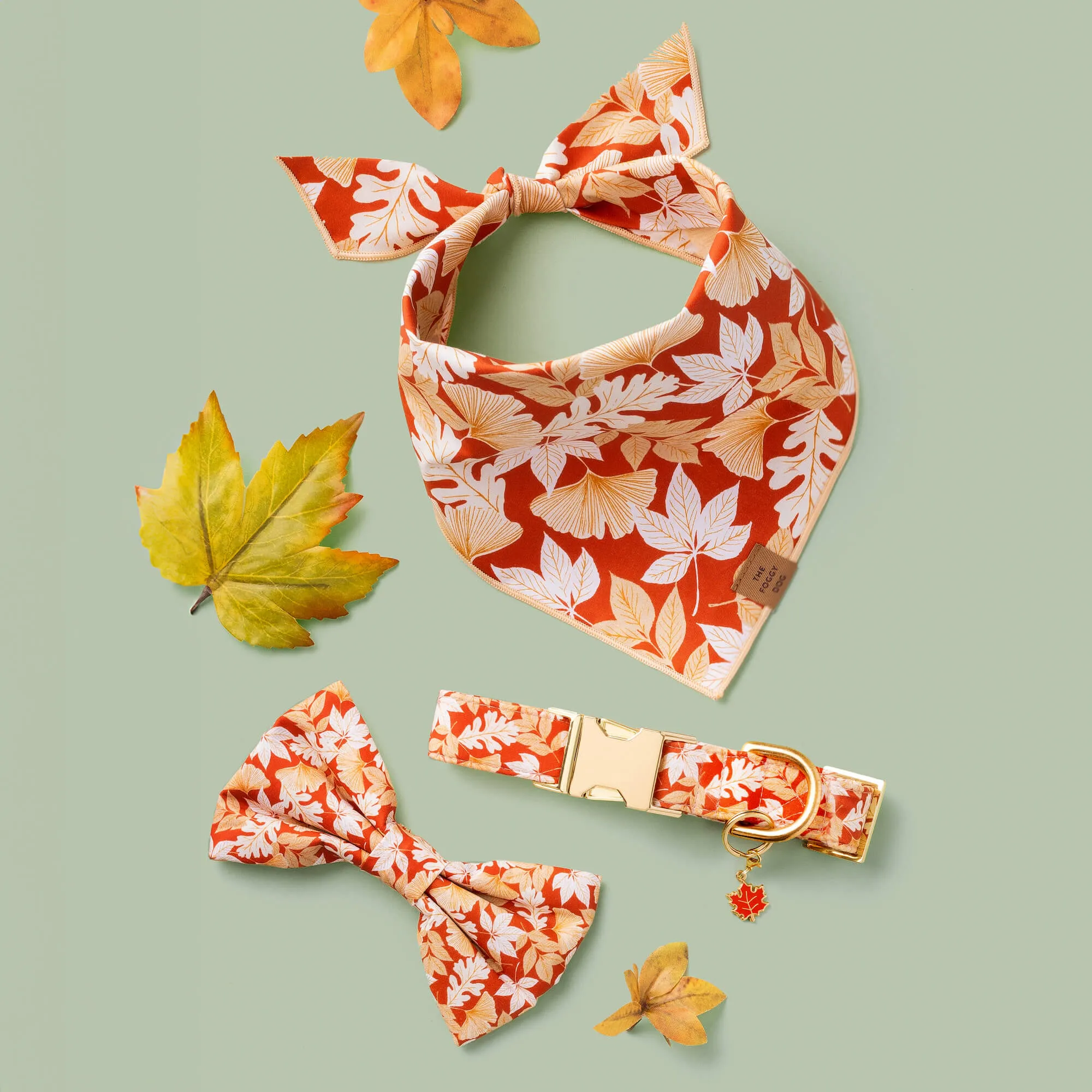 Autumn Leaves Rust Dog Collar