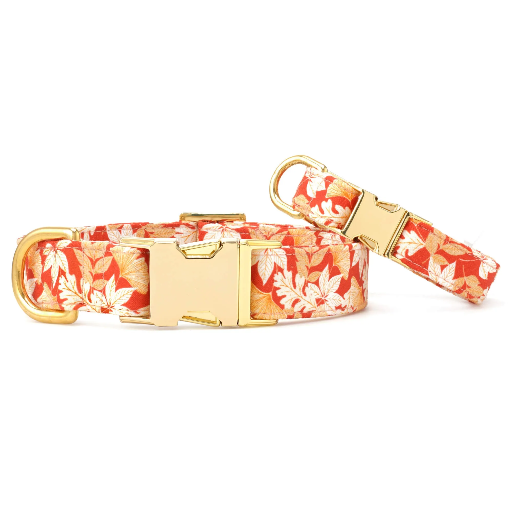 Autumn Leaves Rust Dog Collar