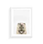 Baby Wombat Rose Crown Print