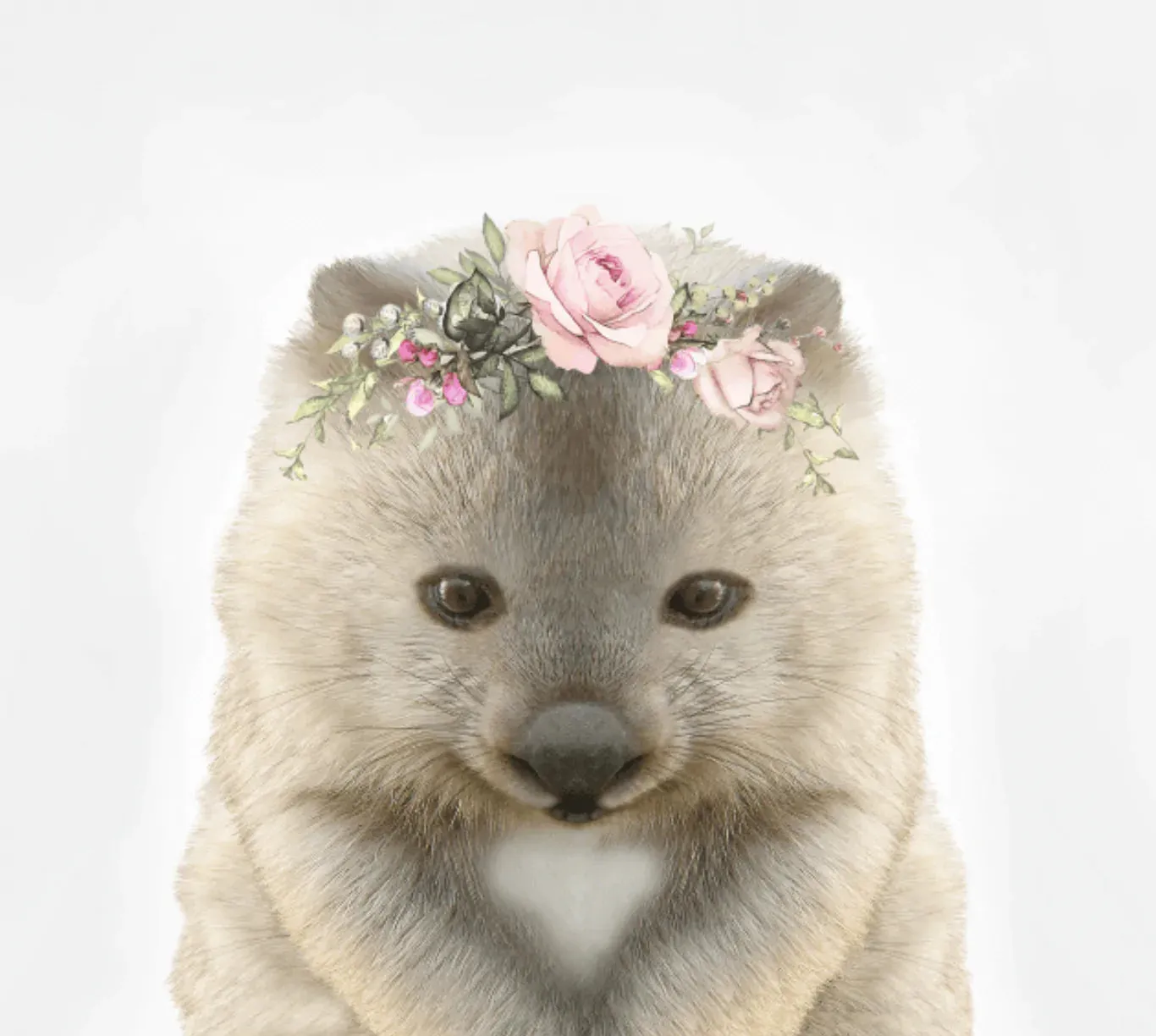 Baby Wombat Rose Crown Print