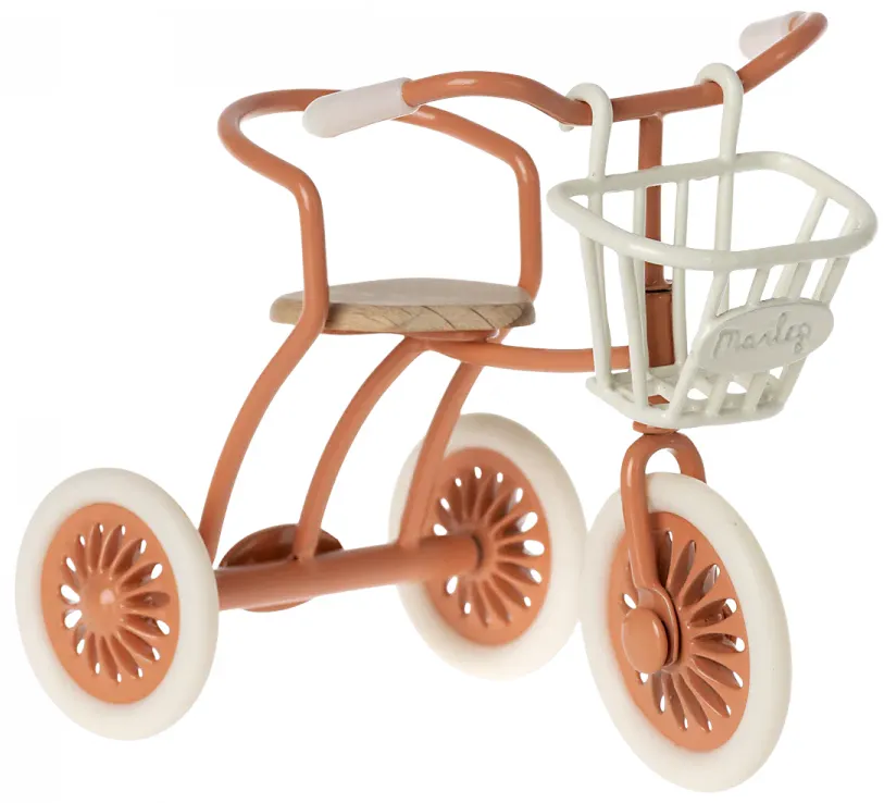 Tricycle Basket